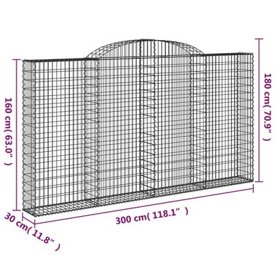 vidaXL arkveida gabiona grozi, 2 gb., 300x30x160/180cm, cinkota dzelzs