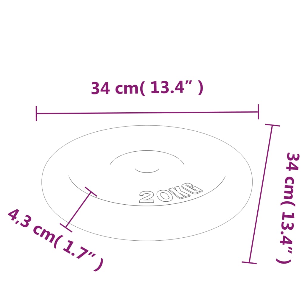 vidaXL svaru disks, 20 kg, čuguns